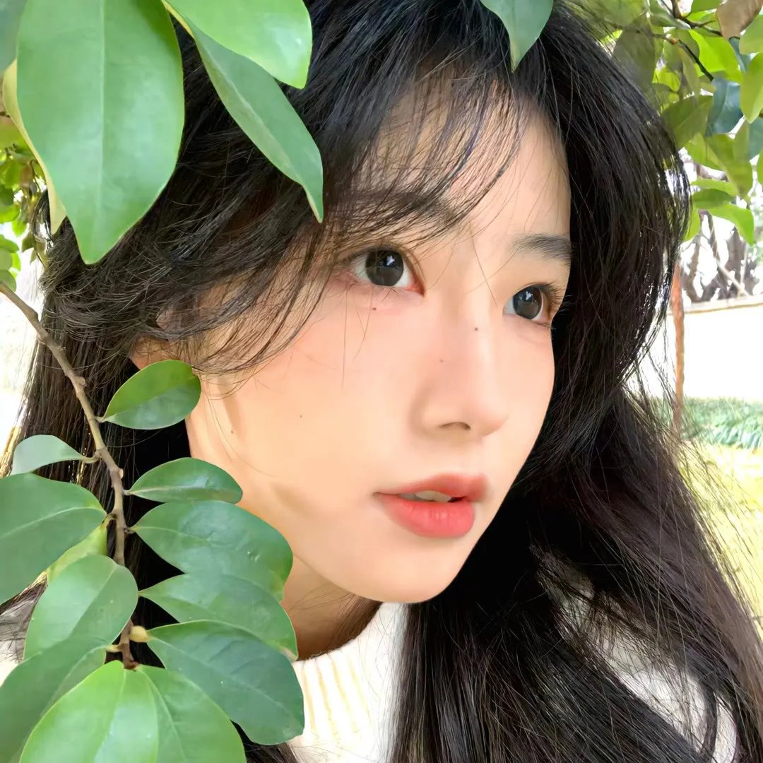 无口的森田小姐 OVA